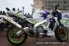 Bal_FFMC85_250506_63.jpg
